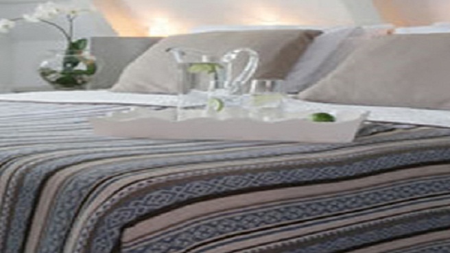 Badhotel Bruin Badhotel Bruin